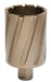 Hougen 18260 1-7/8" X 2" Copperhead Carbide Tip Annular Cutter 